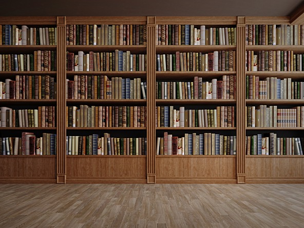 Books on shelves